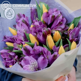 Букет из 16 желтых тюльпанов 40 см и 7 альстромерий в фиолетовых тонах в голубой пленке