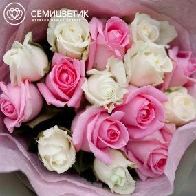 Букет из 15 белых и розовых роз 35-40 см (Россия) в зеленой пленке