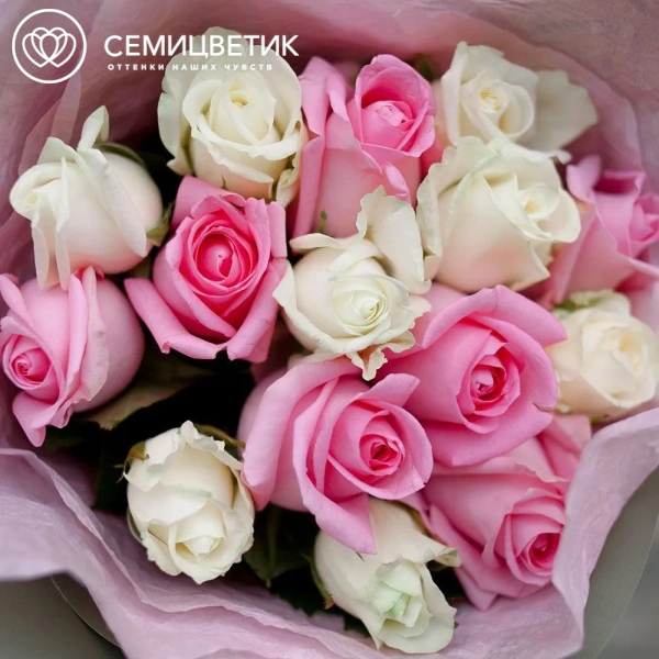Букет из 15 белых и розовых роз 35-40 см (Россия) в зеленой пленке
