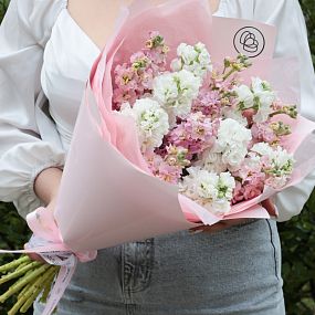 Букет из 15 розовых и белых махровых маттиол в розовой пленке