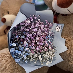 Букет из 5 гипсофил микс в голубой пленке