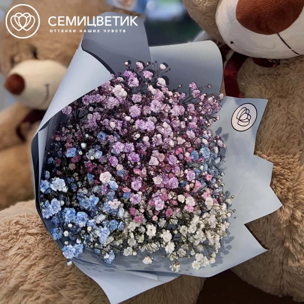 Букет из 5 гипсофил микс в голубой пленке