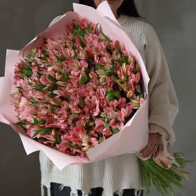 Букет из 101 розовой альстромерии
