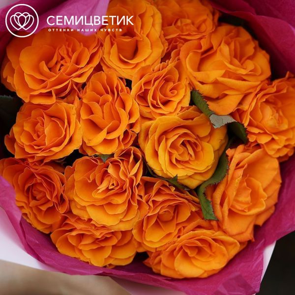 Букет из 15 оранжевой розы 35-40 см (Россия) в кремовой пленке