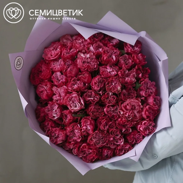 Букет из 51 сиреневой пионовидной розы Queen Crown 50 см (Эквадор) в сиреневой пленке
