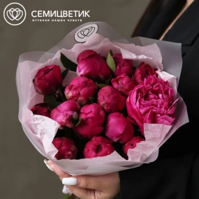 Букет из 15 ярко-розовых пионов Red Sarah Bernhardt Standart Plus в розовой упаковке