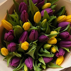 Букет из 35 желтых и фиолетовых тюльпанов в кремовой пленке