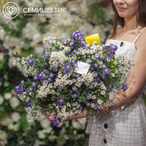 Букет из 25 кустовых астр микс