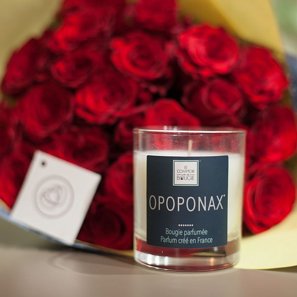 ***Ароматическая свеча Opoponax (Опопонакс)