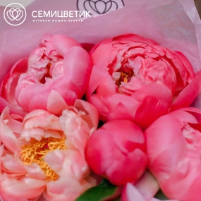 Букет из 5 коралловых пионов Coral Sunset Premium в розовой пленке