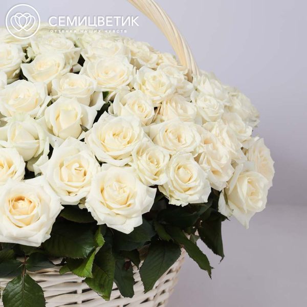 Композиция из 101 белой розы (Россия) в корзине