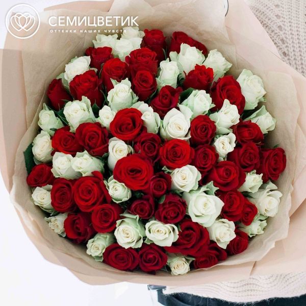 Букет из 75 красных и белых роз 40 см (Кения) в кремовой пленке