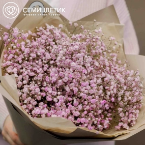 Букет из 7 розовых гипсофил в кремовой пленке