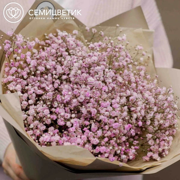Букет из 7 розовых гипсофил в кремовой пленке