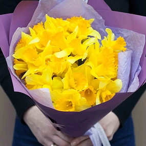 Букет из 25 нарциссов в сиреневой пленке