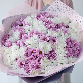 Букет из 25 белых и розовых кустовых хризантем