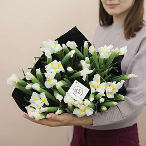 Букет из 51 белого ириса