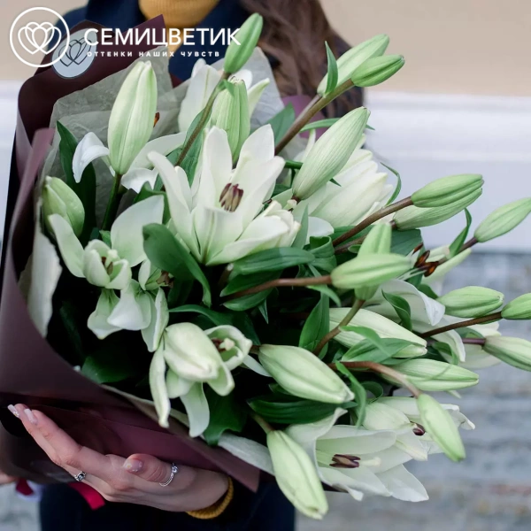 Букет из 9 белых лилий азиатка в бордовой пленке