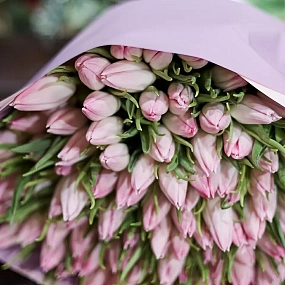 Букет из 101 нежно-розового тюльпана в розовой пленке