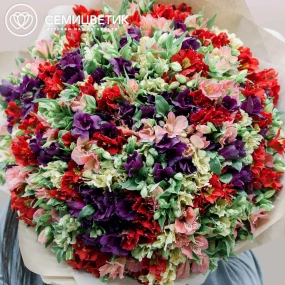 Букет из 101 альстромерии микс в упаковке