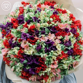 Букет из 101 альстромерии микс в упаковке