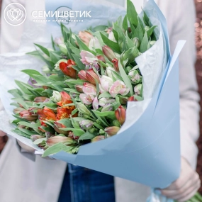 Букет из 25 альстромерий микс в голубой пленке