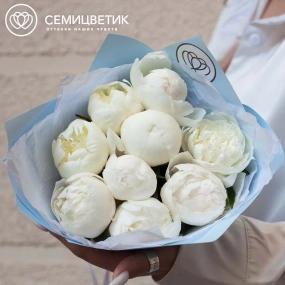 Букет из 9 белых пионов Standart Plus в голубой пленке
