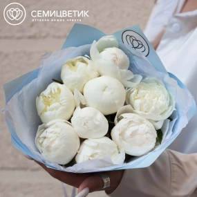 Букет из 9 белых пионов Standart Plus в голубой пленке