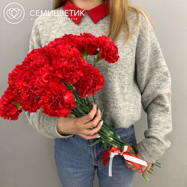 Букет из 25 красных гвоздик