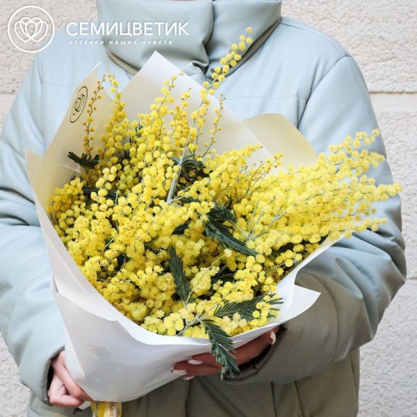 Букет из 15 мимоз