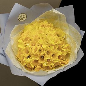 Букет из 75 нарциссов
