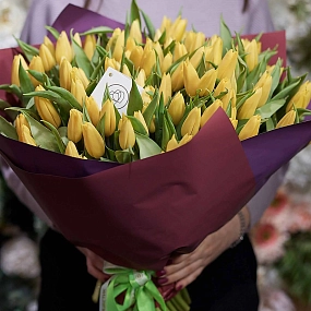 Букет из 101 желтого тюльпана 40 см в бордовой пленке
