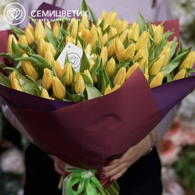 Букет из 101 желтого тюльпана 40 см в бордовой пленке