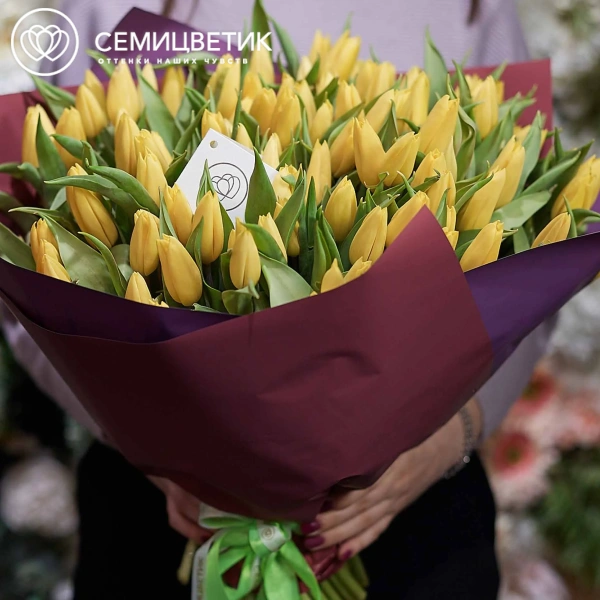 Букет из 101 желтого тюльпана 40 см в бордовой пленке
