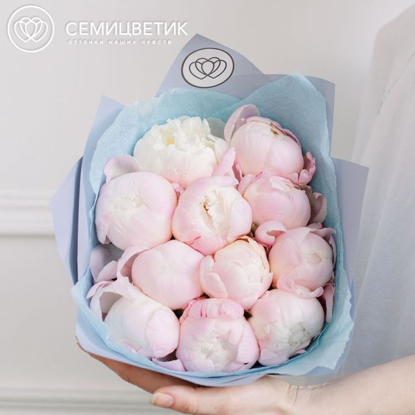 Букет из 11 нежно-розовых пионов Gardenia Premium в голубой пленке