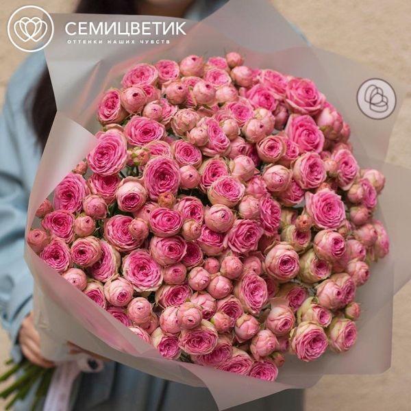 Букет из 15 розовых кустовых пионовидных роз 70 см (Россия)