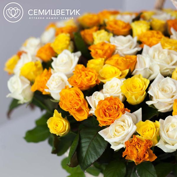Композиция из 151 оранжевой, желтой и белой розы (Россия) в корзине