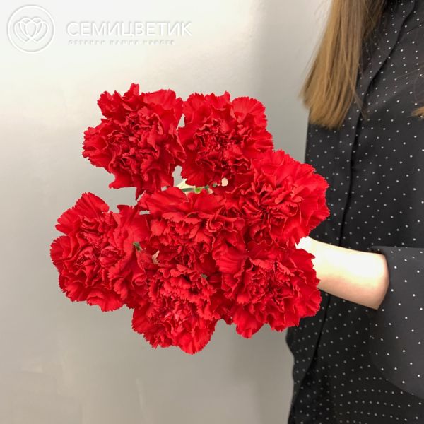 Букет из 7 красных гвоздик
