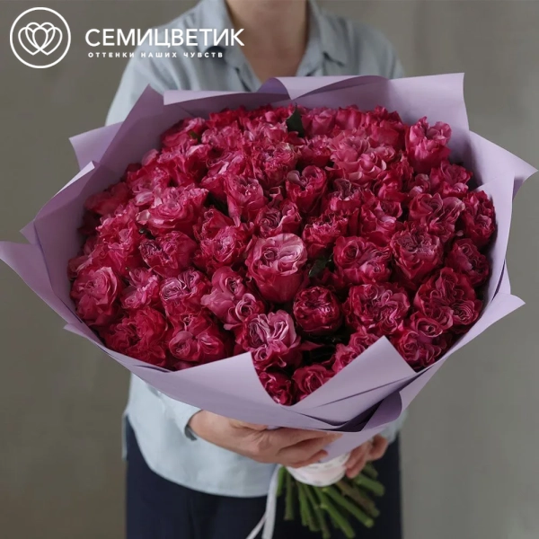 Букет из 51 сиреневой пионовидной розы Queen Crown 50 см (Эквадор) в сиреневой пленке