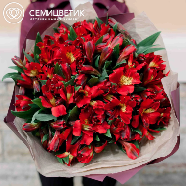 Букет из 23 красных альстромерий в бордовой пленке
