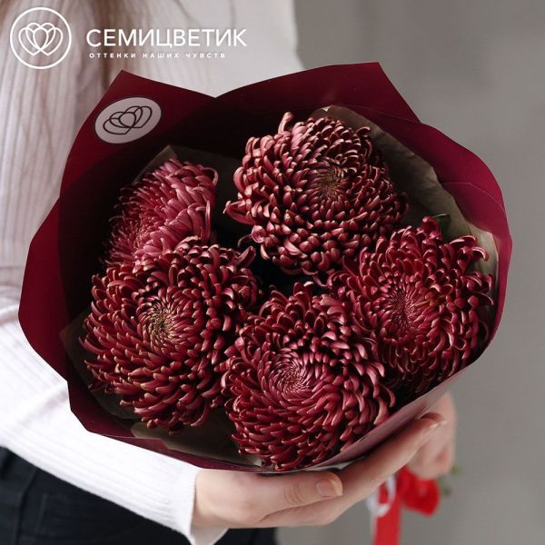 Букет из 5 одноголовых бордовых хризантем