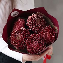 Букет из 5 одноголовых бордовых хризантем