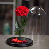 Красная роза в колбе 33 см