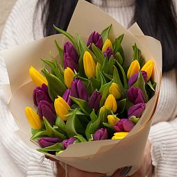 Букет из 35 желтых и фиолетовых тюльпанов