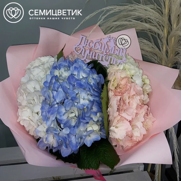 Букет из 5 гортензий нежный микс в розовой пленке