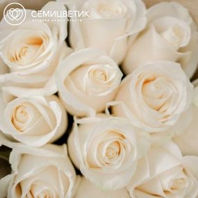Букет из 11 белых роз Vendela 60 см (Эквадор) в кремовой пленке