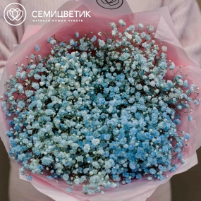 Букет из 7 голубых гипсофил в голубой пленке