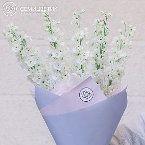 Букет из 9 белых дельфиниумов