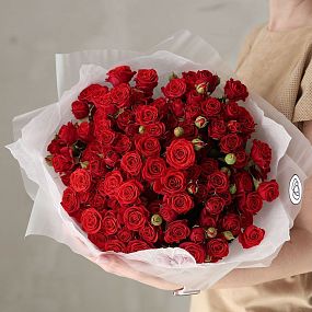 Букет из 25 красных кустовых роз 40-50 см (Россия)