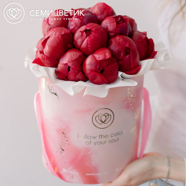 Букет в розовой шляпной коробке Amour Mini из 21 бордового пиона Standart Plus